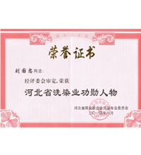 有這樣的領導人我們新航星才會發展如此之快-酒店洗衣房設備